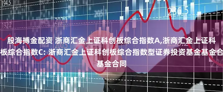 股海搏金配资 浙商汇金上证科创板综合指数A,浙商汇金上证科创板综合指数C: 浙商汇金上证科创板综合指数型证券投资基金基金合同