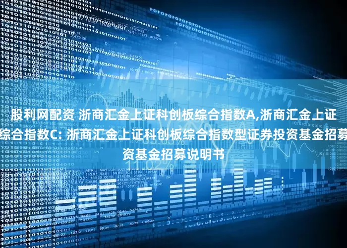 股利网配资 浙商汇金上证科创板综合指数A,浙商汇金上证科创板综合指数C: 浙商汇金上证科创板综合指数型证券投资基金招募说明书