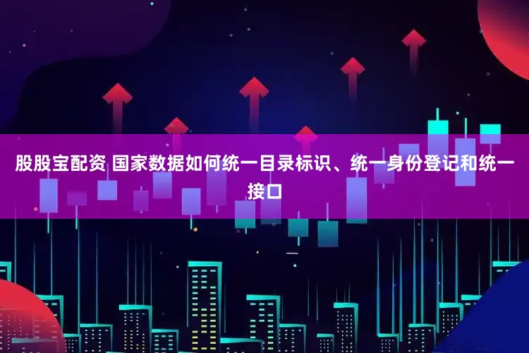 股股宝配资 国家数据如何统一目录标识、统一身份登记和统一接口